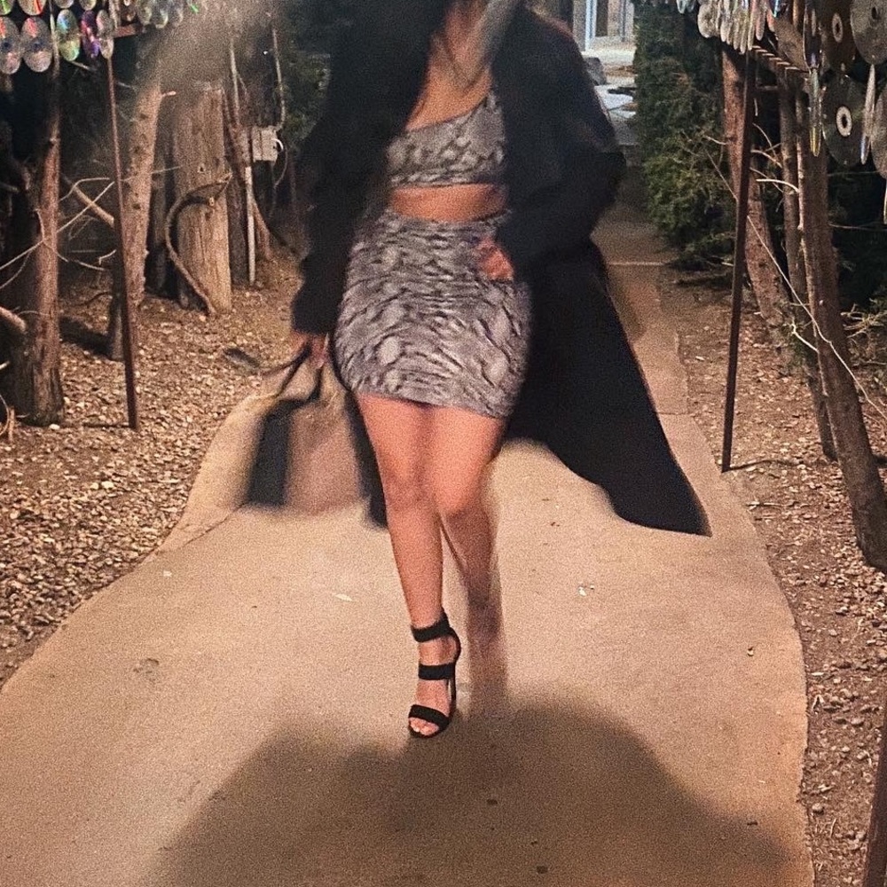 Snake Print Dress